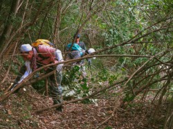 【暑中号】放棄山林を価値ある資源へ　舞鶴トレイル倶楽部の挑戦