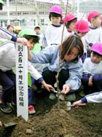 台風で倒木、クリの苗木を園児ら植樹 舞鶴幼稚園で創立120周年記念し【舞鶴】