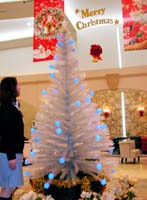 市商工観光センターにイルミネーション点灯 12月23日、「ボサノヴァ　クリスマス」【舞鶴】