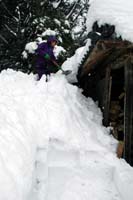 西方寺平では屋根に積雪170センチ 雪下ろしに汗、鶏舎やハウスを守る 【舞鶴】