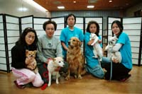 犬や猫たちと人とのふれあい活動 「ハーモニー」が施設で心の刺激や癒し 【舞鶴】