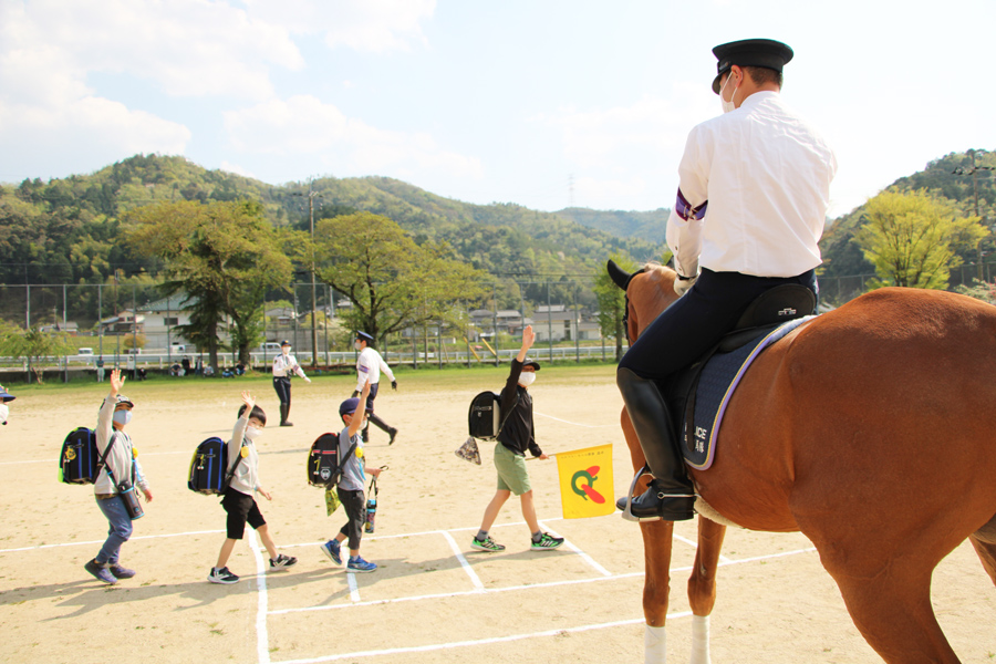 京都府警察<br>平安騎馬隊が池内小に来校<br>交通安全教室の開催で